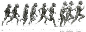 Evolution of human running posture.