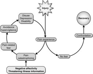 Flowchart of injury and pain management.