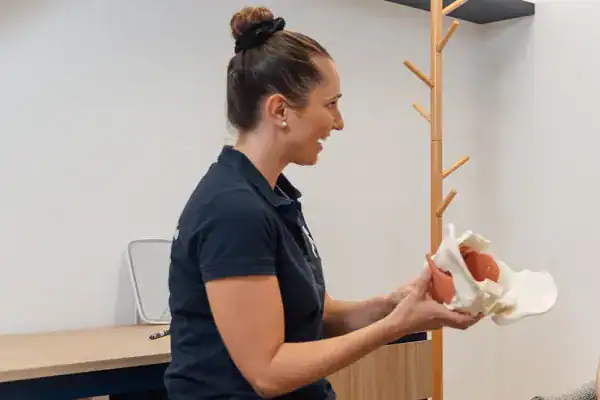 Physiotherapist holding pelvic model at.